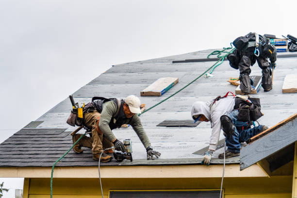 Professional Gutter Installation technician working in Saint Donatus, IA